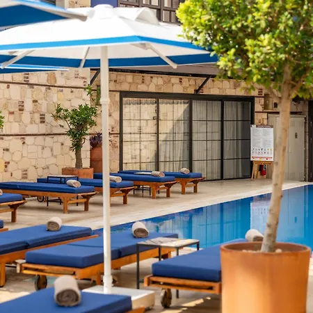 Alp Pasa - Special Class Hotel