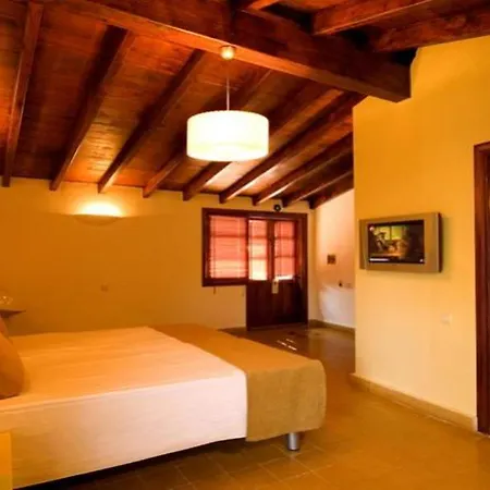 Hotel Alp Pasa - Special Class 4*