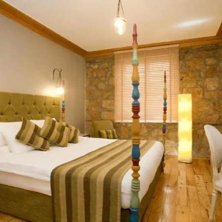 Alp Pasa - Special Class Hotel 4*