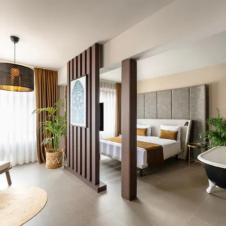 Alp Pasa - Special Class Hotel 3*