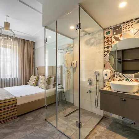 Alp Pasa - Special Class Hotel