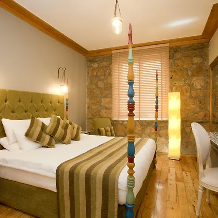 Alp Pasa - Special Class Hotel
