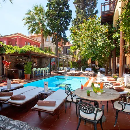 Alp Pasa - Special Class