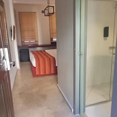 Hotel Alp Pasa - Special Class 3*