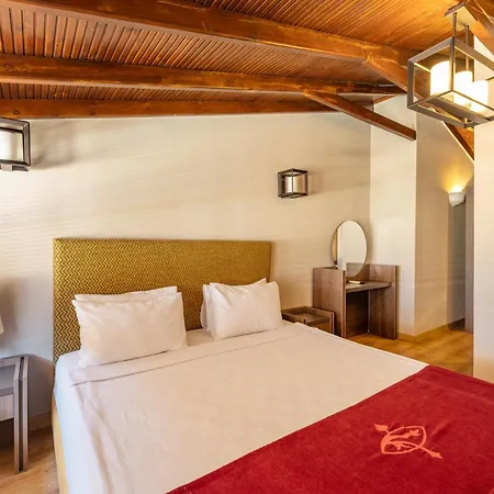 Hotel Alp Pasa - Special Class 3*