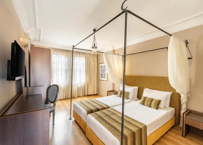 Alp Pasa - Special Class