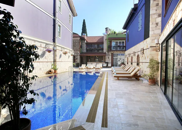 Alp Pasa - Special Class Hotel