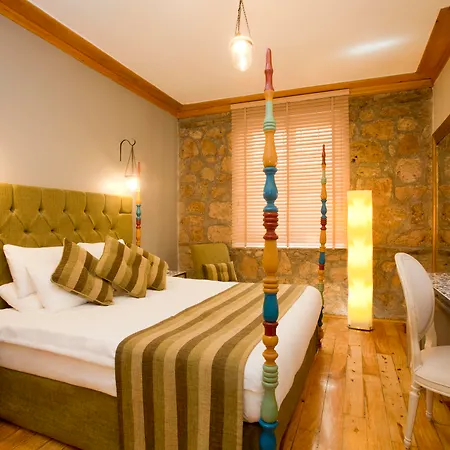 Alp Pasa - Special Class Hotell