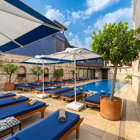 Alp Pasa - Special Class Hotel