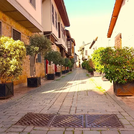 Alp Pasa - Special Class